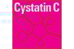 Cystatin C Test: A Game-Changer in Kidney Disease Detection
