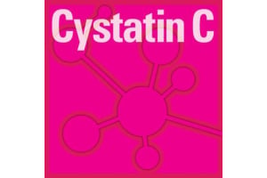 Cystatin C Test: A Game-Changer in Kidney Disease Detection