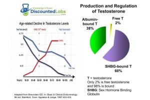 SHBG and Free Testosterone - Everything You Need to Know