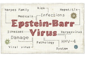 Tired? You May Have The Epstein-Barr (EBV) Virus