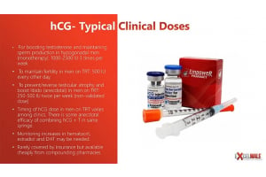 What Every Man Should Know About hCG