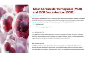  MCHC Low and High Blood Test Values: Understanding CBC Panel Results