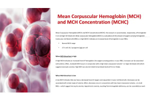 Decoding Low MCHC and High MCHC: Understanding CBC Blood Test Results