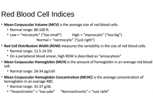 MCHC Blood Test: What is It and How to Interpret Results