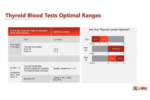 Beyond TSH: Why Doctors Should Check Other Thyroid Hormones
