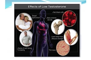 Testosterone Tests: Should They Be Done After Fasting?