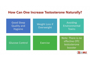 How to Increase Testosterone Naturally