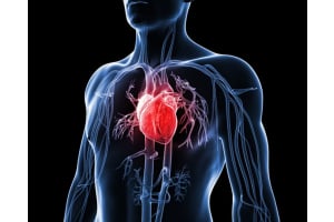 Protecting Your Heart While on Testosterone Therapy