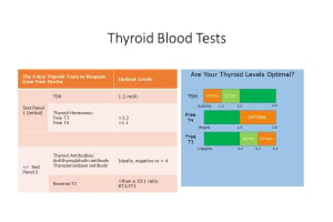 Thyroid Tests and What They Mean: Thyroid Test Results Chart