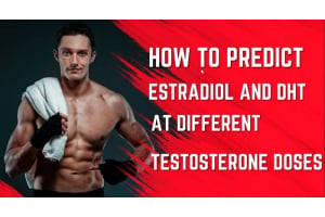 Estradiol and DHT Levels on TRT: How to Predict