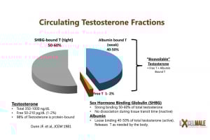 Best Ways to Increase Free Testosterone Levels