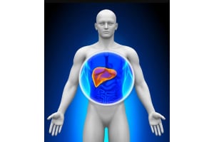 High Liver Enzymes: How to Optimize the Health of Your Liver