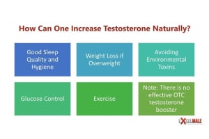How Do You Increase Testosterone?: 10 Easy Ways