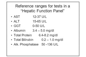 The Importance of The Liver Test Panel and Why You Should Get It