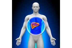 Comprehensive Guide to Liver Function Tests