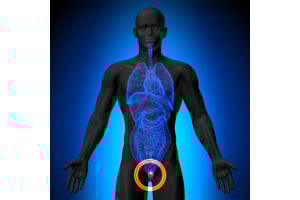Total and Free PSA Test: What You Should Know to Prevent Prostate Cancer.