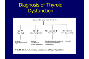 Essentials About Thyroid Hormones and  Reverse T3