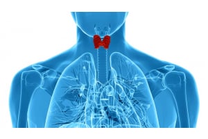 Parathyroid PTH Blood Test and Roles