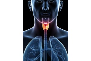 Thyroid Tests: How Certain Foods and Medications Can Affect Them