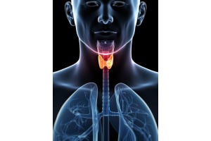 Thyroid Blood Test Fasting Tips: Foods & Medications Impact