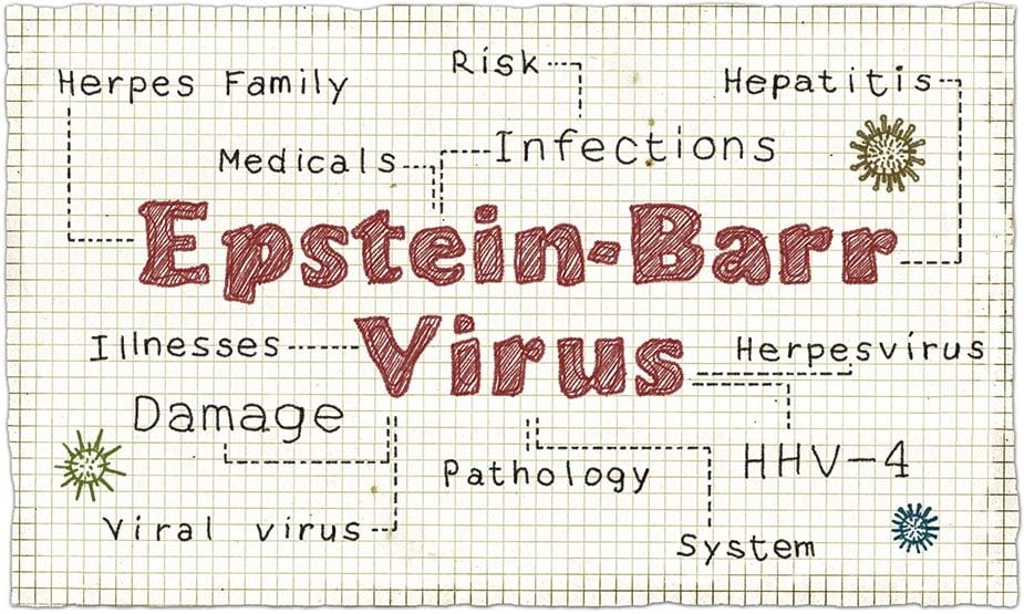 Epstein Barr Virus Test Mononucleosis