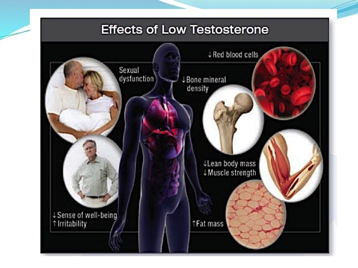 Testosterone blood test, home vs clinical testosterone blood tests