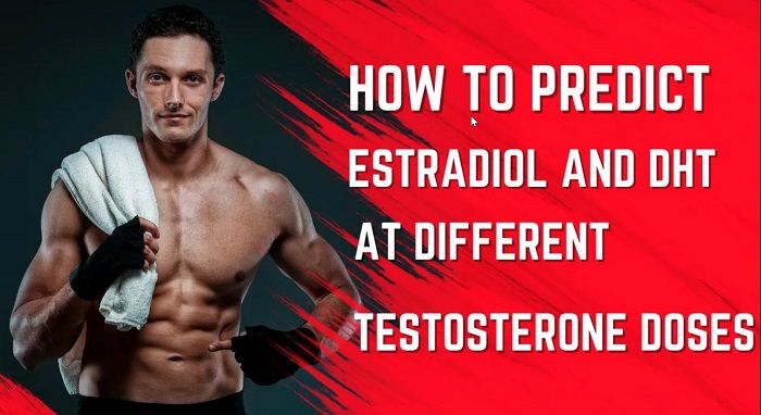 Estradiol and DHT Levels on TRT: How to Predict