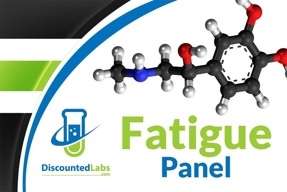 fatigue blood test panel