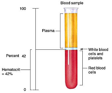 high hematocrit