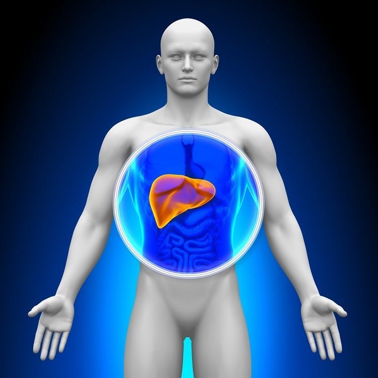 liver function test