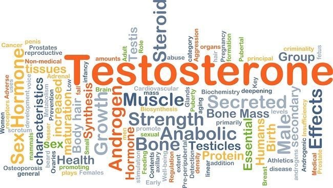 testosterone test discounted labs