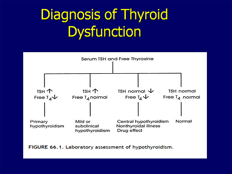 Thyroid Panel