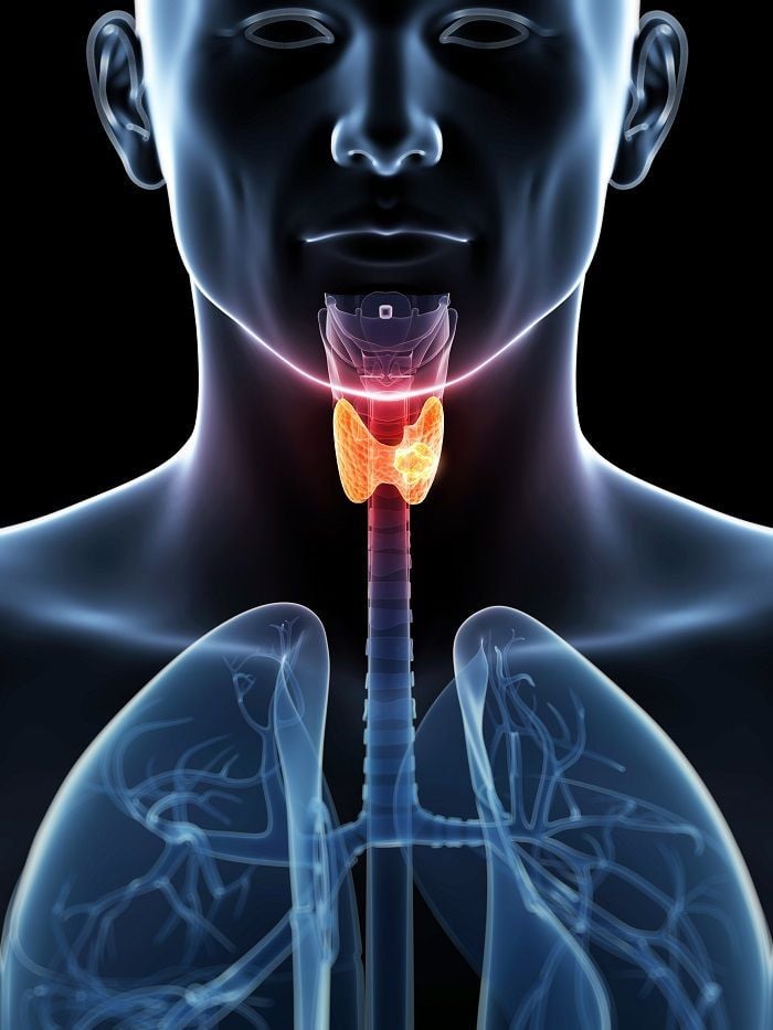 Thyroid tests discounted labs