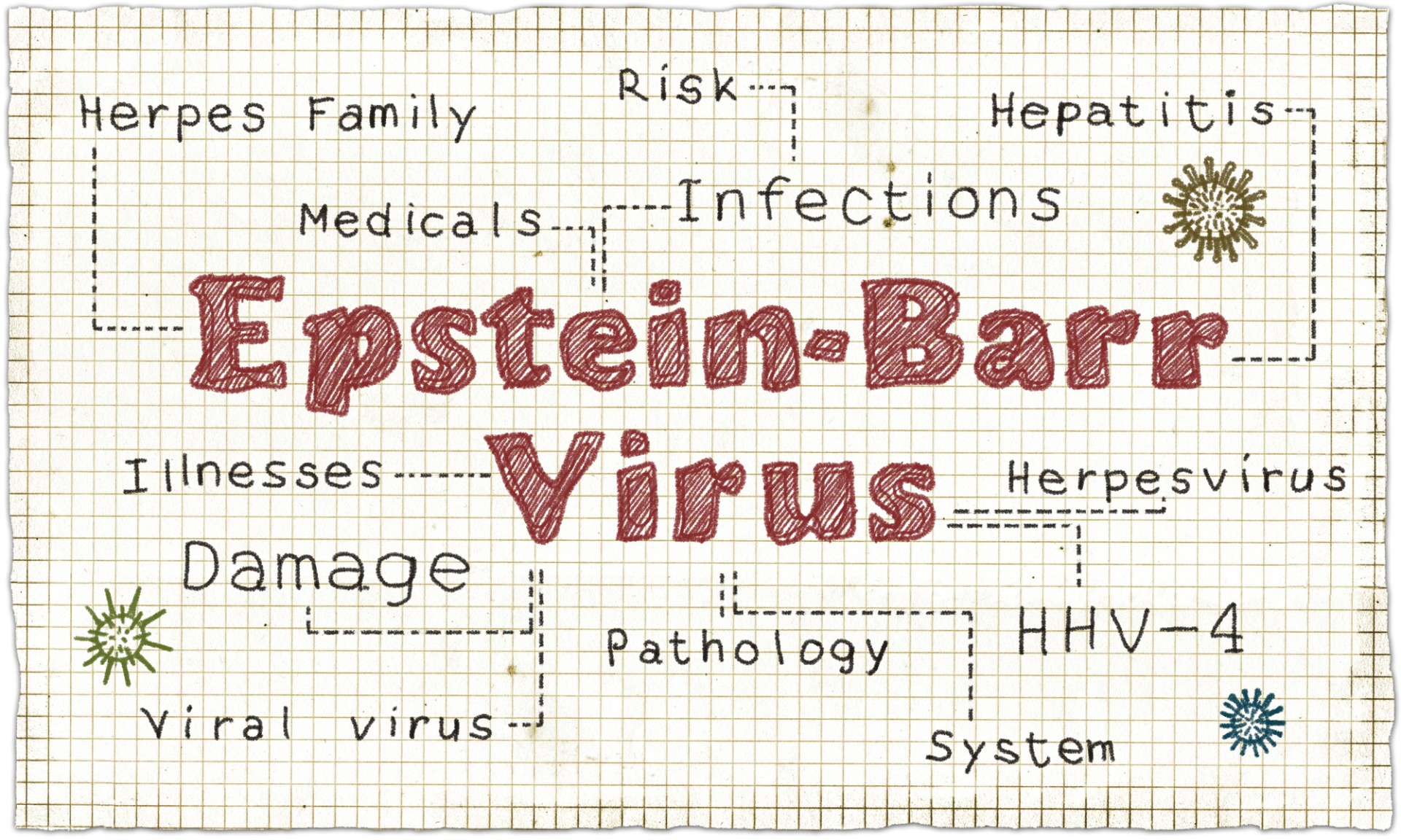 Epstein-Barr virus test