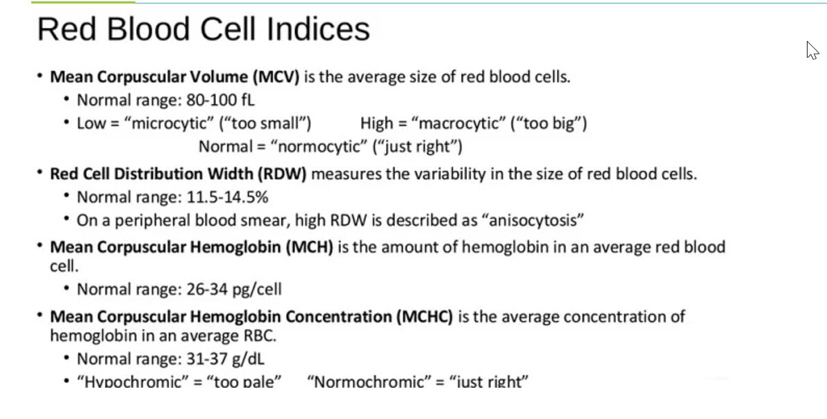 mchc low and high