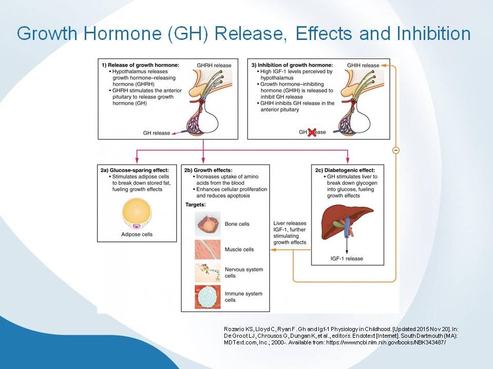 IGF1 and GH Axis