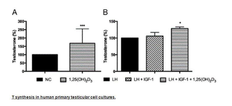 Vitamin D and testosterone