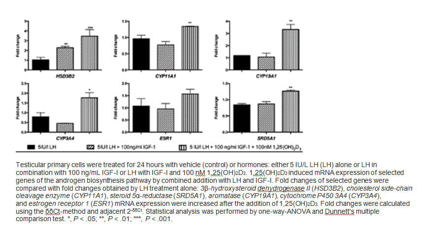 Vitamin D and testosterone 2